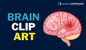 Brain Clip Art