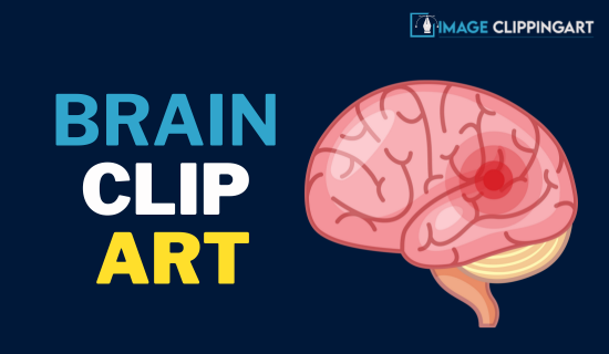 Brain Clip Art Exploring with Mindful Imagery