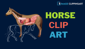 Horse Clip Art | Image Clipping Art Service